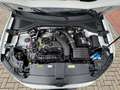 Volkswagen T-Roc Life 1.5 TSI DSG /AHK/Rückfahrk/Sitzhz/LED Weiß - thumbnail 18
