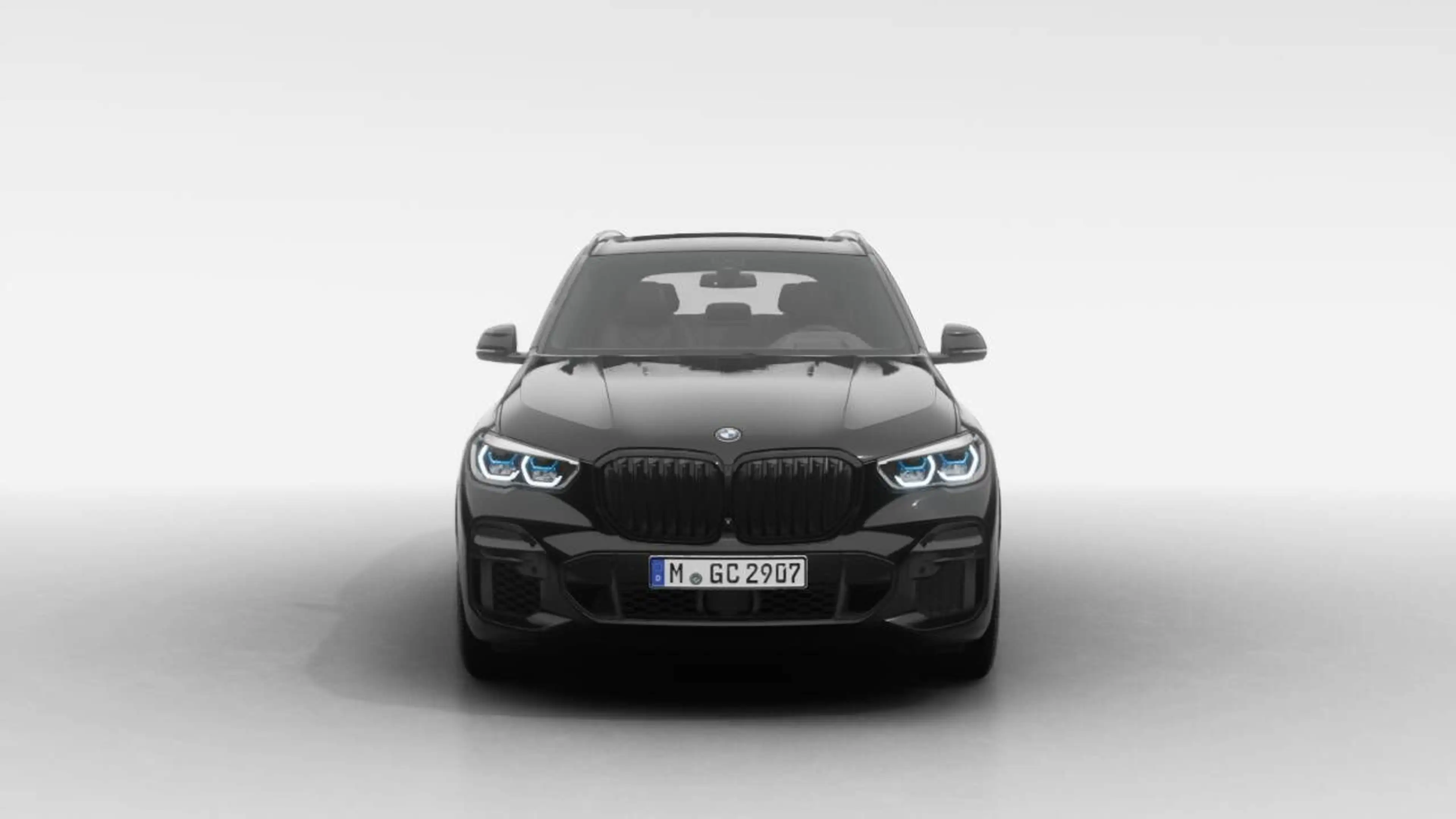 BMW X5 xDrive 40d M-Sport Laser Luft Sky HUD H&K AHK — photo 4