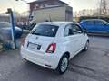 Fiat 500 1.0 hybrid Lounge 70cv Fehér - thumbnail 7