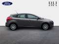 Ford Focus 1.6 TDCi 115ch FAP Stop\u0026Start Titanium 5p Beige - thumbnail 4