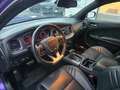 Dodge Charger Charger SRT Hellcat kein Unfallimport Violett - thumbnail 11