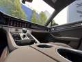 Porsche Panamera 4 E-Hyb PLATINUM Ed. #SPORTABGAS! MY24! Grau - thumbnail 14