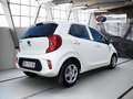Kia Picanto Titan Klima Sitz+Lenkradheitzung Wit - thumbnail 4