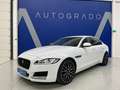 Jaguar XF 2.0i4D Prestige Aut. 180 Blanco - thumbnail 1