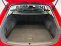 SEAT Leon 1.0 TSI S&S Style XS 110 Rojo - thumbnail 7