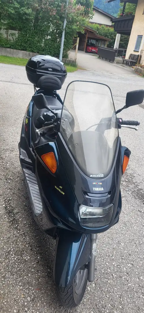 Yamaha Majesty 250 Blau - 2