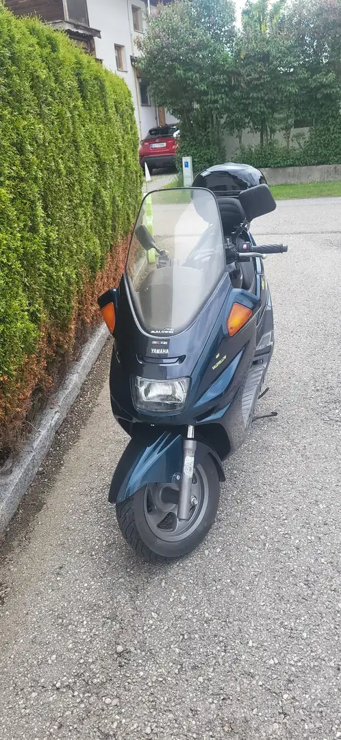 Yamaha Majesty 250 Blau - 1