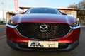 Mazda CX-30 CX-30 SKYACTIV-X 2.0 M-Hybrid Edition 100 *Voll* Red - thumbnail 3
