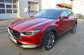 Mazda CX-30 CX-30 SKYACTIV-X 2.0 M-Hybrid Edition 100 *Voll* Red - thumbnail 2