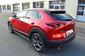 Mazda CX-30 CX-30 SKYACTIV-X 2.0 M-Hybrid Edition 100 *Voll* Red - thumbnail 7