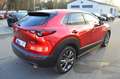 Mazda CX-30 CX-30 SKYACTIV-X 2.0 M-Hybrid Edition 100 *Voll* Red - thumbnail 9
