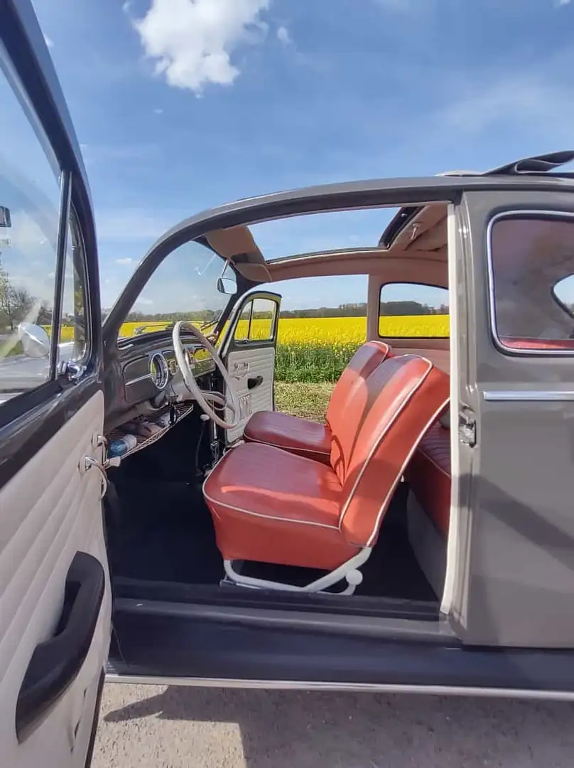 Volkswagen Käfer - 2