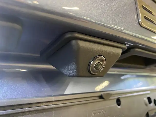 Geely Starray Em-I view 14