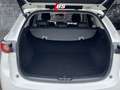 Mazda CX-5 SKYACTIV-G 194 AWD Drive Edition 100 - thumbnail 14