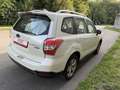 Subaru Forester 2,0D Comfort CVT Export oder Händler !!! Weiß - thumbnail 4