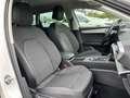 SEAT Leon SP FR-Line 2.0 TDI DSG*Standhzg*ACC*VC* Weiß - thumbnail 10