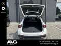 Mercedes-Benz GLC 220 GLC 220 d 4M Edition AMG Pano AHK DIGITAL 360° Weiß - thumbnail 21