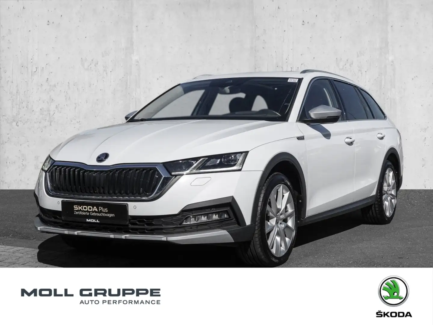 Skoda Octavia Combi 2.0 TDI 4Motion DSG SCOUT NAVI Weiß - 1