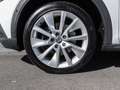 Skoda Octavia Combi 2.0 TDI 4Motion DSG SCOUT NAVI Weiß - thumbnail 7