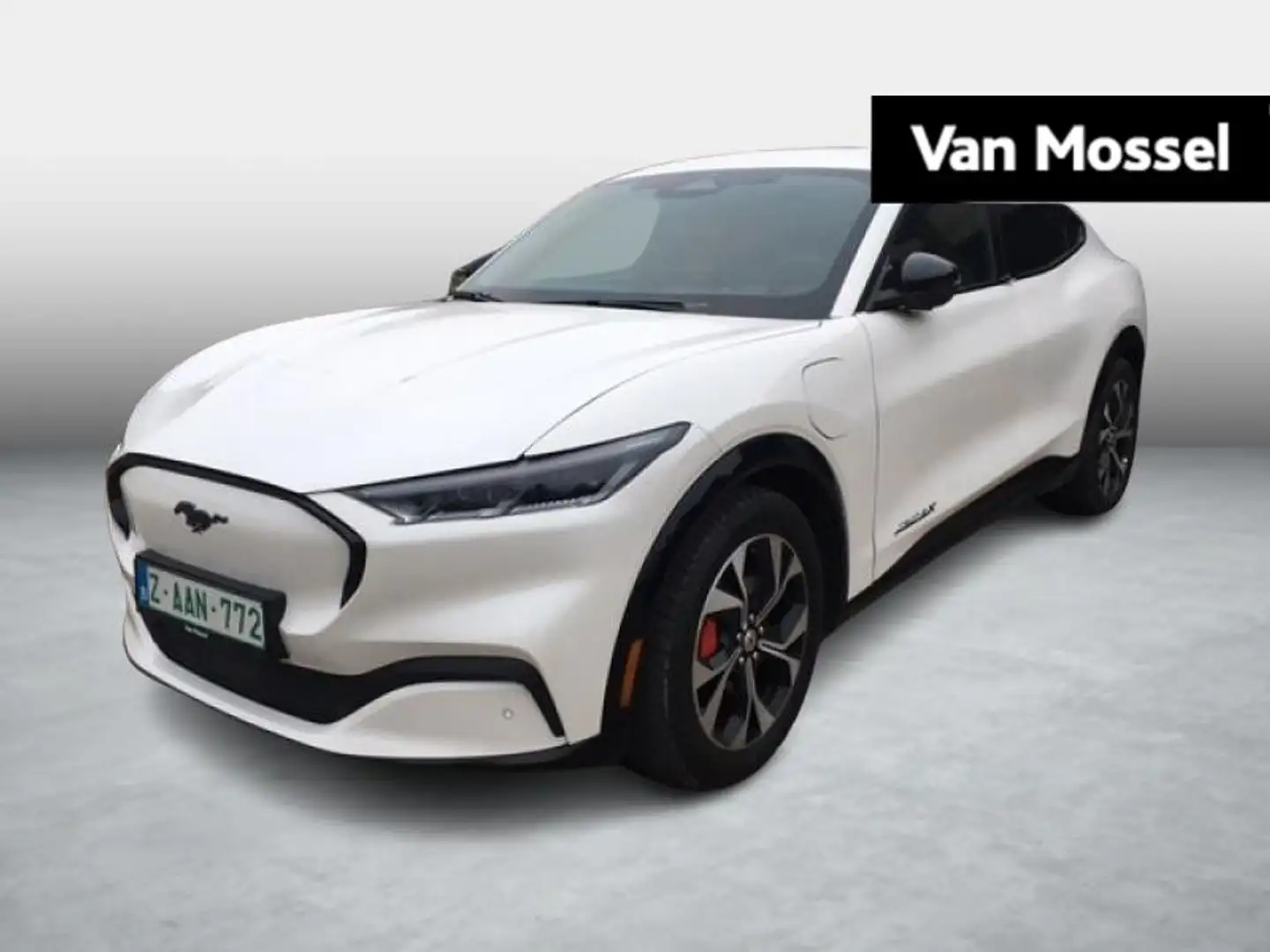 Ford Mustang Mach-E Premium awd 99kwh|driving Assist assist|500 range Blanco - 1