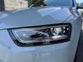 Audi Q3 2.0 TDI 177 CV quattro S tronic Advanced Bianco - thumbnail 4
