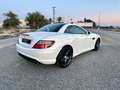 Mercedes-Benz SLK 250 BE 7G Plus Blanco - thumbnail 17