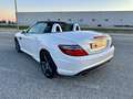 Mercedes-Benz SLK 250 BE 7G Plus Blanco - thumbnail 12