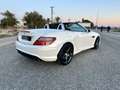 Mercedes-Benz SLK 250 BE 7G Plus Blanco - thumbnail 15