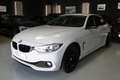 BMW 435 435dA Gran Coupé xDrive Blanco - thumbnail 22