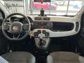 Fiat Panda CROSS 1.0i | GARANTIE | SNEL BESCHIKBAAR! Gris - thumbnail 7