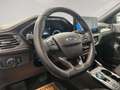 Ford Focus Turnier 1,5 EcoBlue ST-Line ab ca. 163€ monatlich Schwarz - thumbnail 16