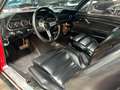 Ford Mustang CABRIO - cabriolet - AUTOMATICA 4.8 Rosso - thumbnail 9