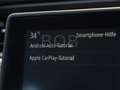 Renault ZOE E-TecEXPERIENCE R110 Z.E. 50 SHZ,LenkHZ,GJR Alb - thumbnail 12