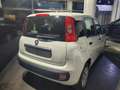 Fiat Panda 1.3 mjt 16v Easy s&s 95cv Blanco - thumbnail 2