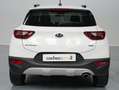 Kia Stonic 1.6CRDi VGT Eco-Dynamic Business 110 Blanco - thumbnail 6