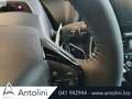 Subaru Solterra 71,4 kWh 4E-xperience 4WD "8 ANNI GARANZIA" Gris - thumbnail 17