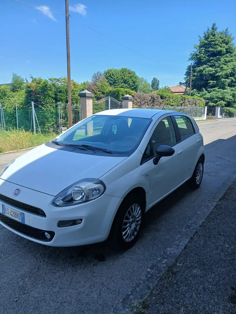 Fiat Punto Evo 5p 1.4 natural power Blue&Me 70cv OK NEOPATENTATI - 2