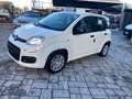 Fiat Panda Pandina Cross 1.0 firefly hybrid s Bianco - thumbnail 7