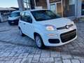 Fiat Panda Pandina Cross 1.0 firefly hybrid s Bianco - thumbnail 2