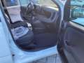 Fiat Panda Pandina Cross 1.0 firefly hybrid s Bianco - thumbnail 12