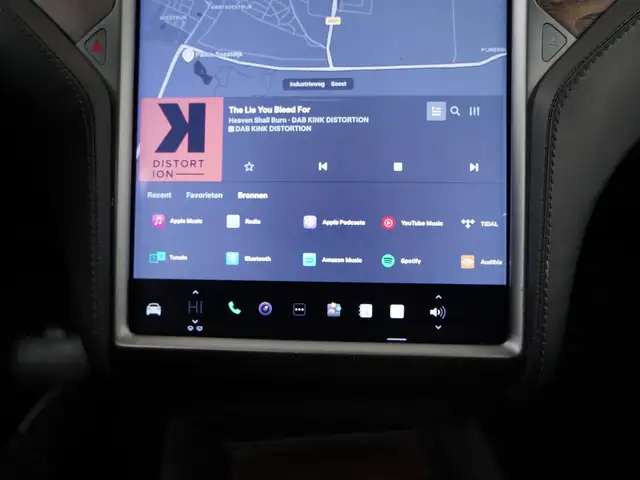 Tesla Model X view 13