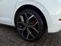 Volkswagen Polo GTI 2.0 TSI 210PK/IQ LED/Carplay Wit - thumbnail 18