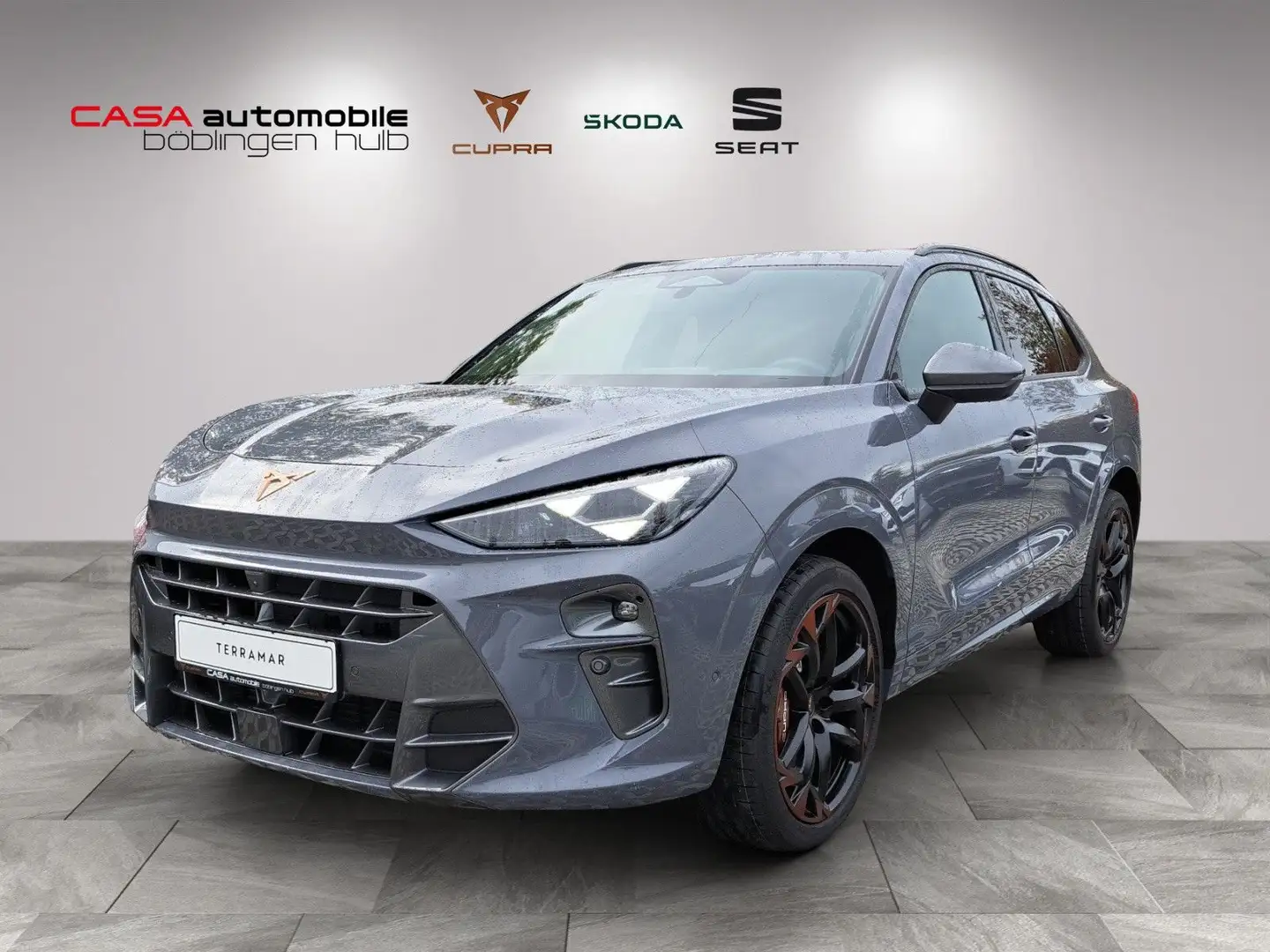 CUPRA Terramar VZ 2.0 TSI DSG 4Drive Panodach DCC Grau - 1