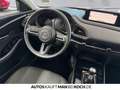Mazda CX-30 2.0 SKYACTIV-G M Hyb.150 Excl-Line 2WD (E6d) Rood - thumbnail 9