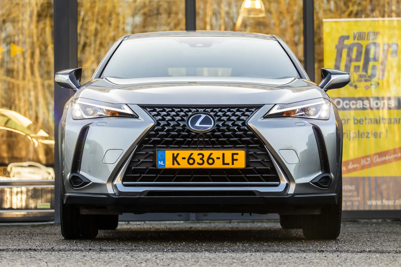 Lexus UX 300e 54 kWh Gris - 2