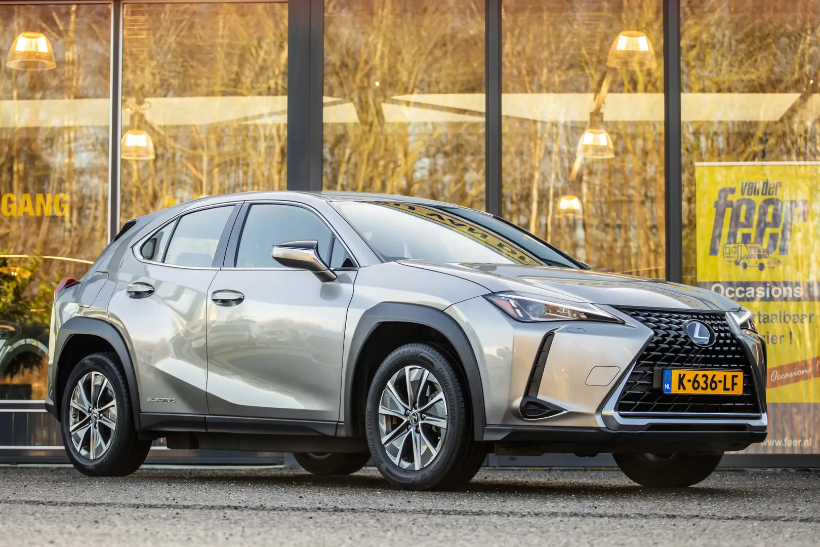 Lexus UX 300e 54 kWh Gris - 1