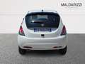 Lancia Ypsilon III 2021 1.0 firefly hybrid Platino s&s 70cv Bianco - thumbnail 3