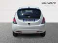 Lancia Ypsilon III 2021 1.0 firefly hybrid Platino s&s 70cv Bianco - thumbnail 13