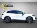 Volkswagen Tiguan 1.5 eTSI Life (EURO 6e) Weiß - thumbnail 6