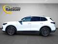 Volkswagen Tiguan 1.5 eTSI Life (EURO 6e) Weiß - thumbnail 2